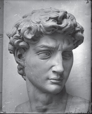 Cast of the head of Michelangelo’s David in the Accademia di Belle Arte, Florence, by Isabel Agnes Cowper. 1881. Wet collodion negative on glass, approx. 30.5 by 25.4 cm. (Victoria and Albert Museum Archive, London; negative no.11360).