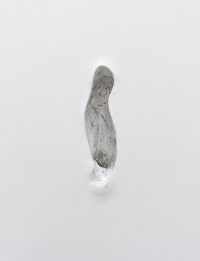 Fig. 8 image