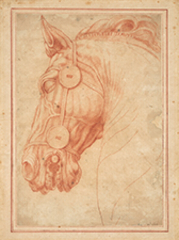 Horse’s head, Marcus Aurelius equestrian monument, Rome