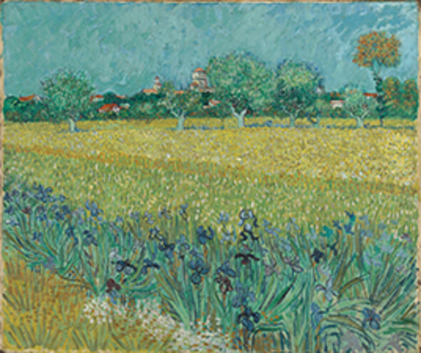 Field with irises near Arles
