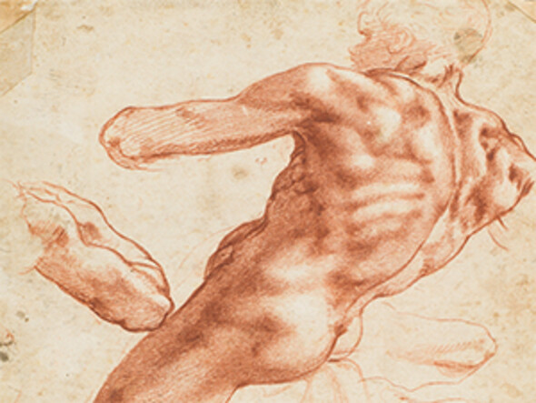 Detail from study for an 'ignudo' on the ceiling of the Sistine Chapel