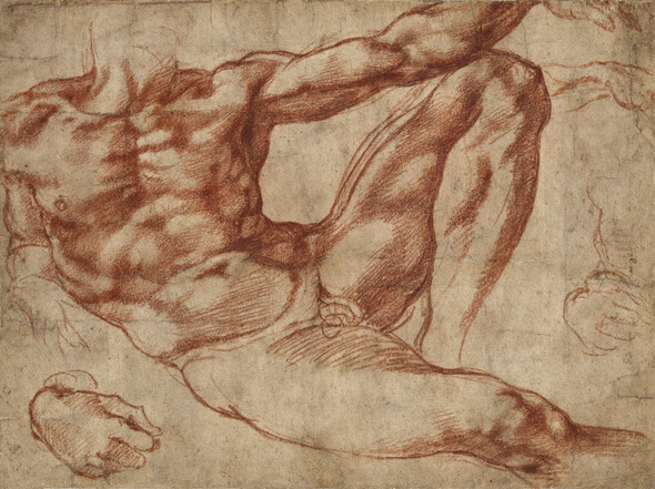 7. Study for Adam in the Creation of Adam