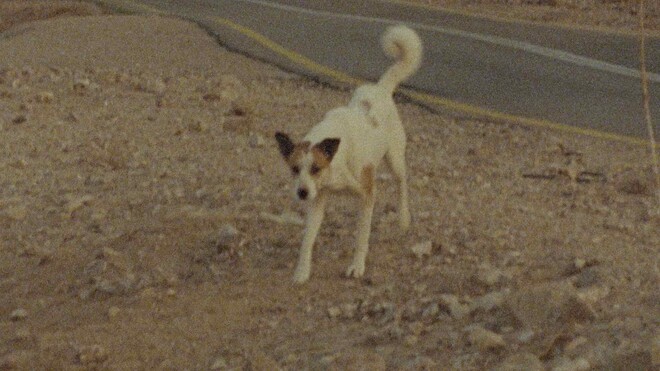 Fig01_LA008_still_un_ane